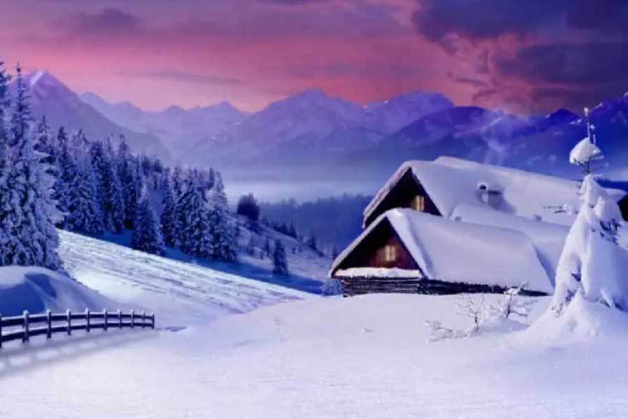 排球超级联赛卫冕冠军提前锁定季后赛名额